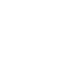 lente di ingrandimento